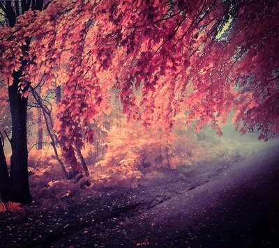 Enchanting Autumn Pathway with Vibrant Foliage