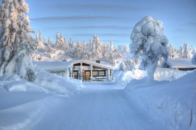 snow, winter, freezing, ice, tree