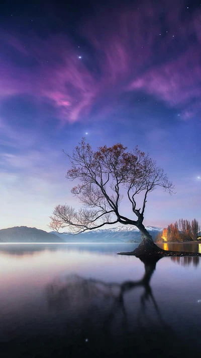 lago, naturaleza, escenario, cielo, árbol