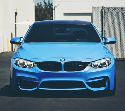 carro, azul, bmw, carro coupe, f82