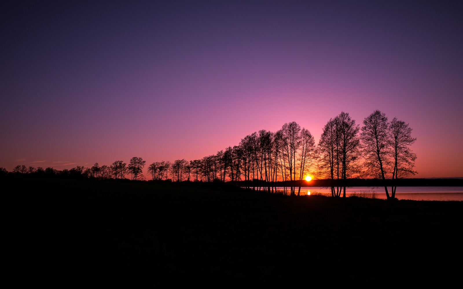 Uma vista de um pôr do sol com um banco e árvores em primeiro plano (rusutjärvi, finlândia, paisagem, por do sol, céu roxo)