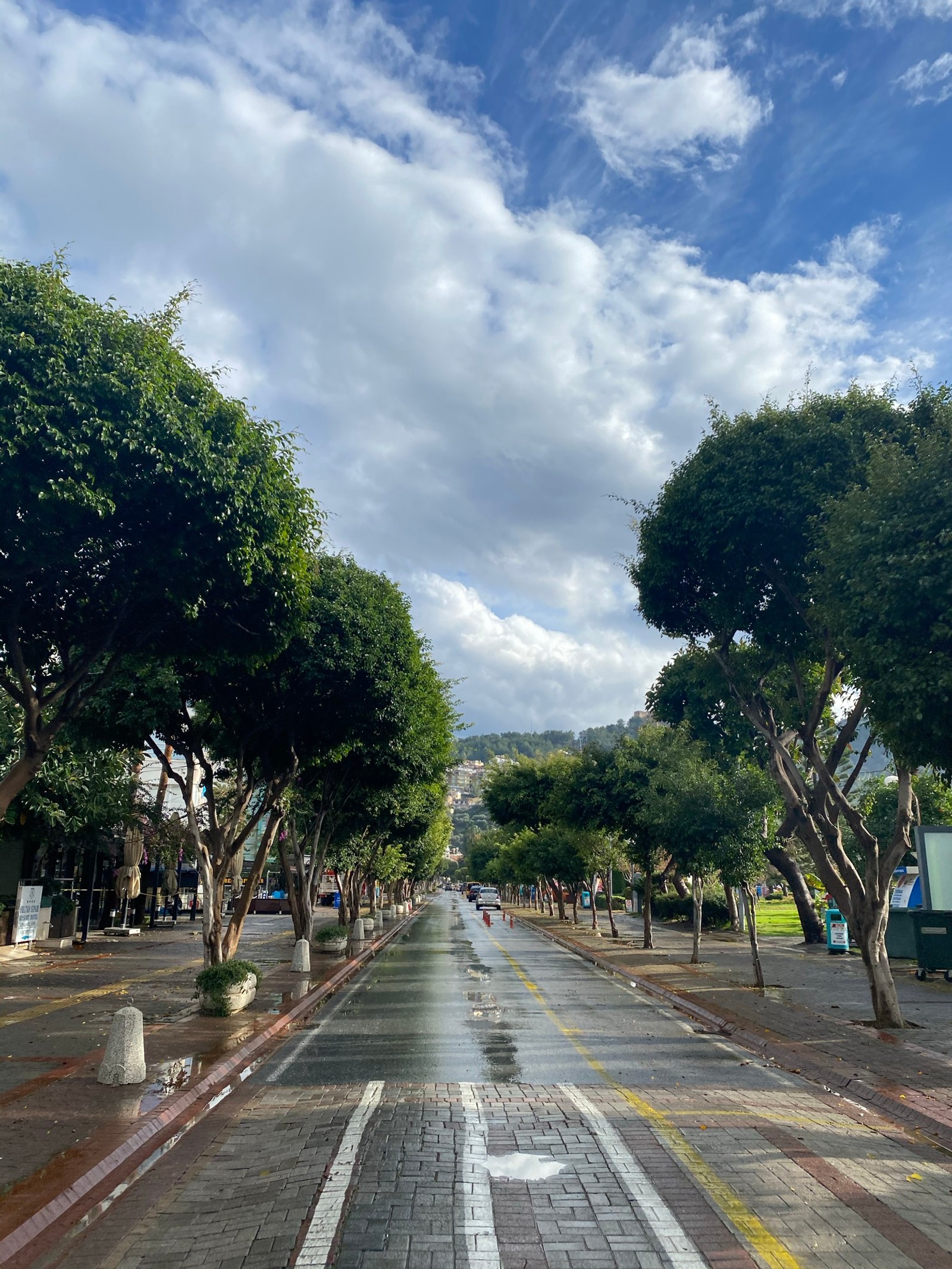 Há uma rua com árvores e uma placa ao lado (superfície da estrada, nuvem, planta, asfalto, árvore)