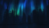 aurora borealis, northern lights, night, forest, scenery