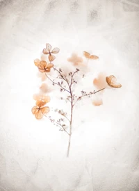 Delicate Brown Flower Branch with Petals on Soft Background