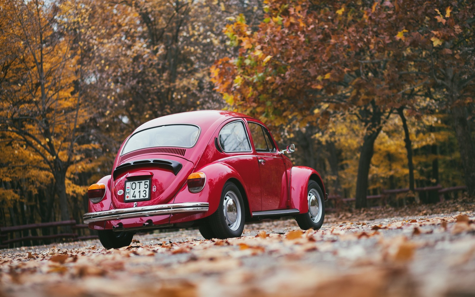 A close up of a red car parked on a leaf covered road (volkswagen beetle, volkswagen new beetle, volkswagen, volkswagen type 2, tree)