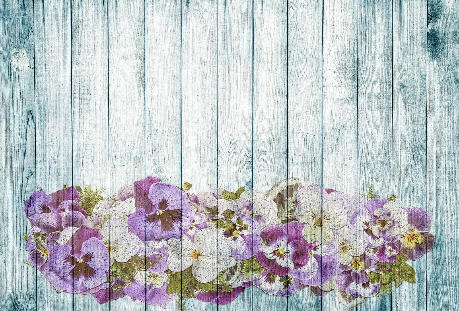 blue, flower, pansy, yellow, floral design wallpaper