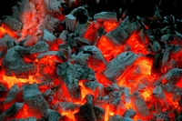 Glowing Charcoal Embers: The Heart of Barbecue Fire