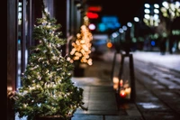 Árvores de Natal iluminadas ao longo de uma rua de inverno