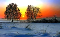 Sunrise Over a Snow-Covered Siberian Landscape