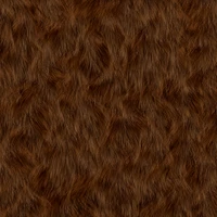 fur, brown, wood, wildlife, grass family wallpaper