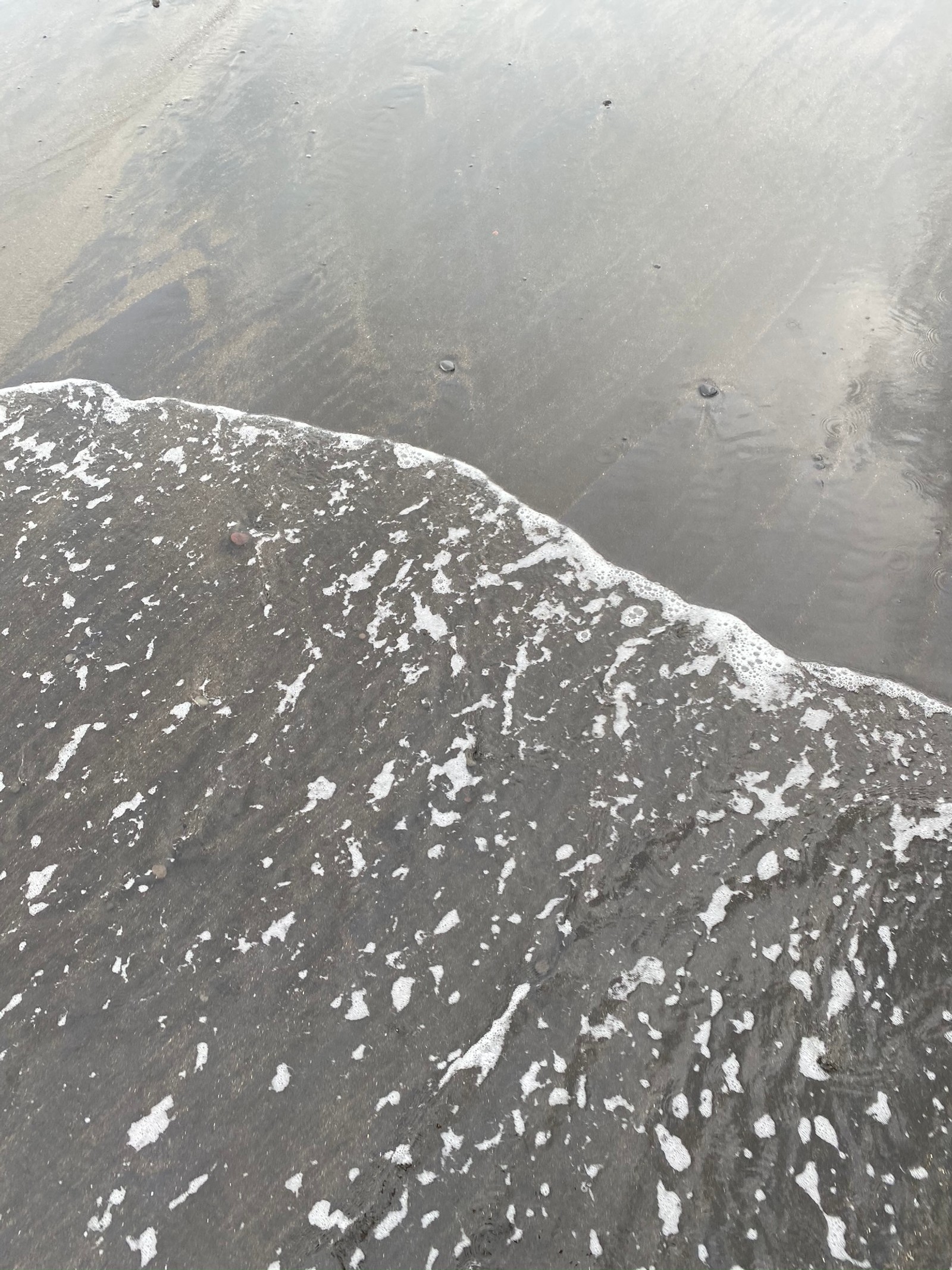 Uma pessoa caminhando na praia com uma prancha de surf (atmosfera da terra, geologia, forma glacial, corpo de água, inverno)