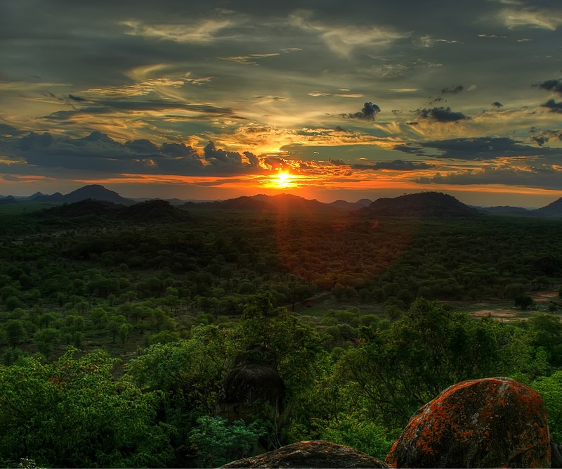 Закат над холмами и деревьями вдали с облачным небом (afrika, закат)