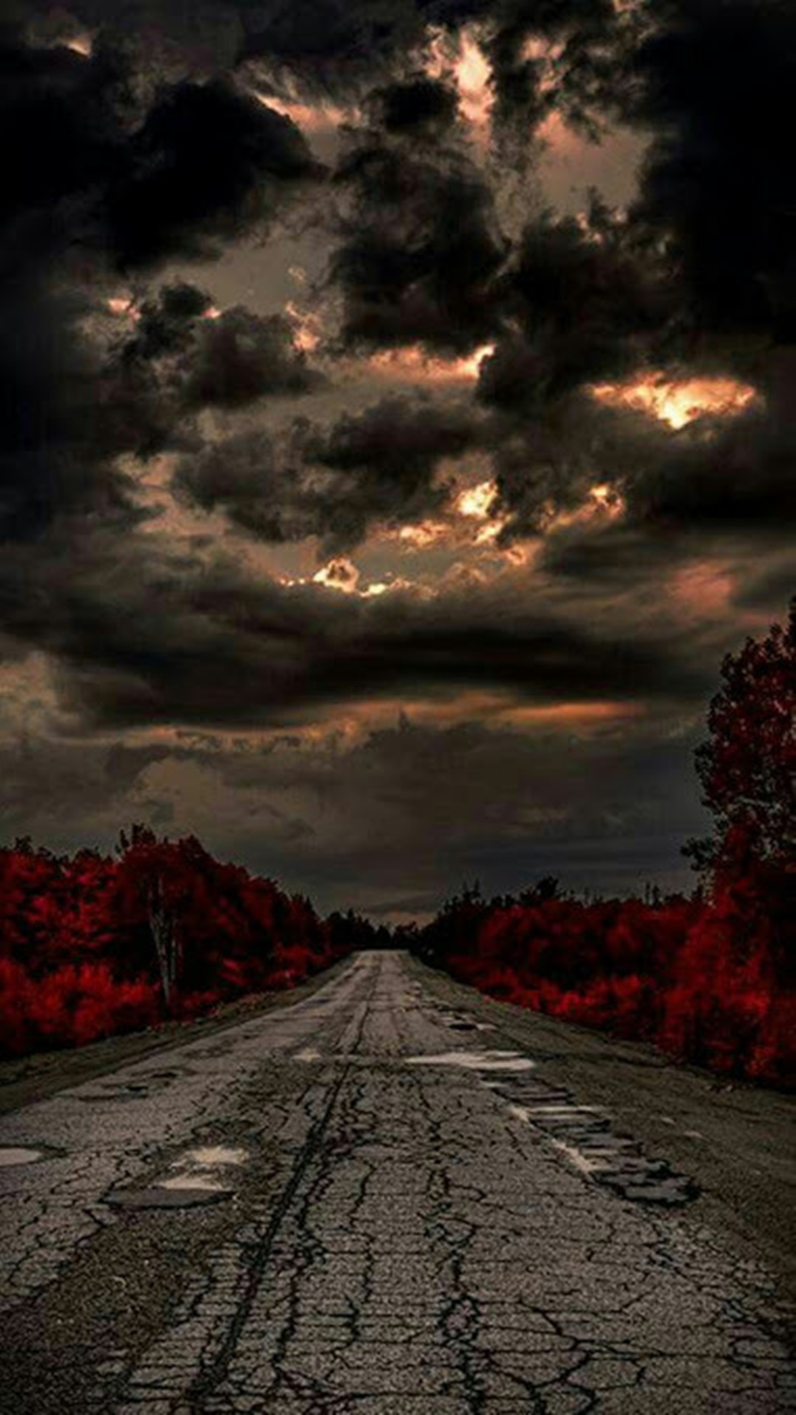 Une route artistique avec un ciel nuageux et des arbres rouges (paysage naturel, rouge)