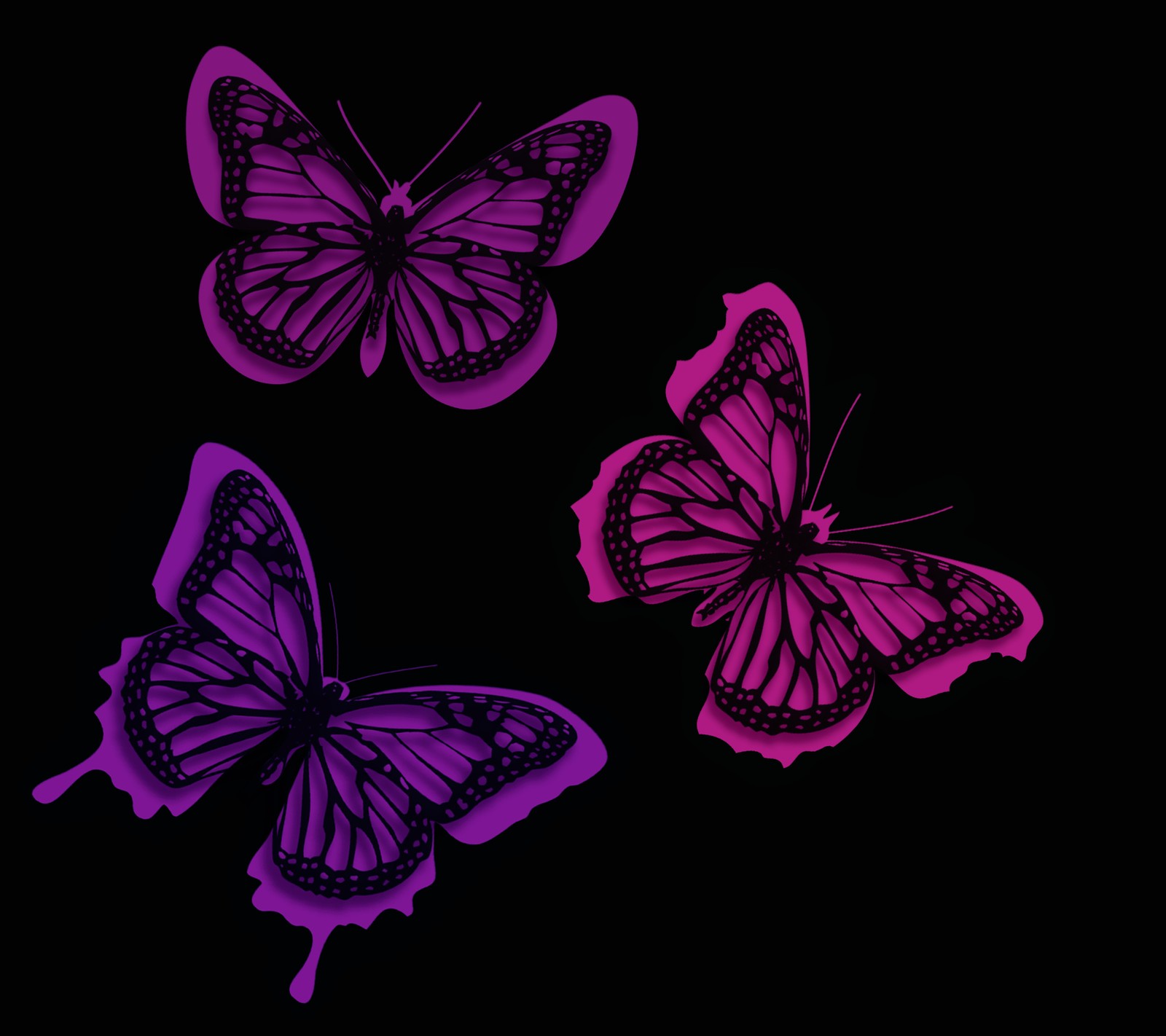 Three purple butterflies are shown against a black background (butterfly, design, purple, vector)