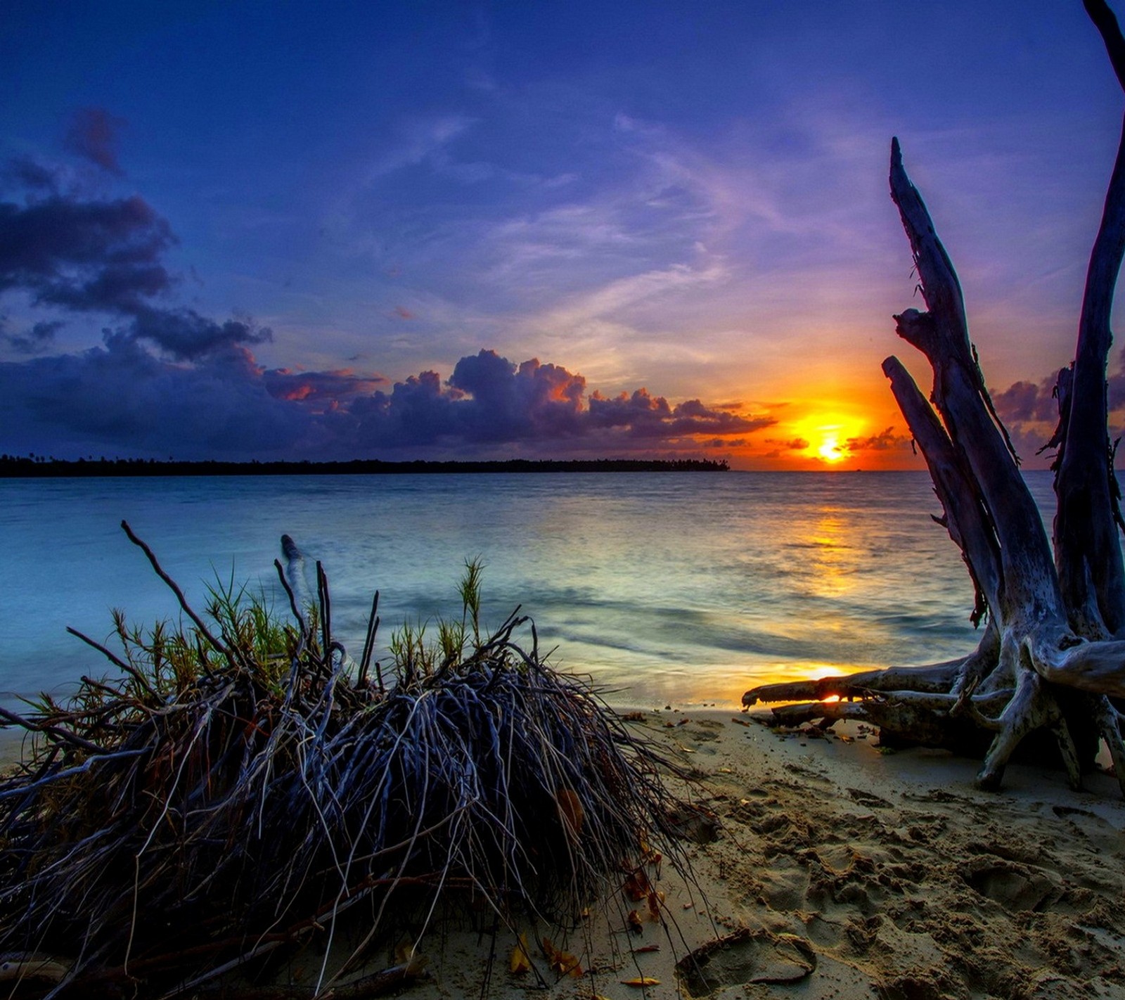 Puesta de sol sobre el océano con un toco de árbol y una playa (playa, atardecer)