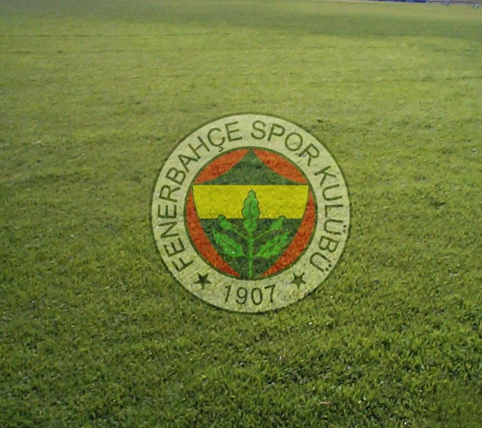 Una imagen alterada de un campo de fútbol con un logo pintado en él (alex de souza, fenerbahçe, fenerbahce, fútbol, estambul)