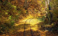 Autumn train tracks winding through a vibrant forest, covered in golden leaves.