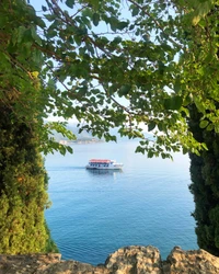 Passenger ship navigating serene waters framed by lush foliage.