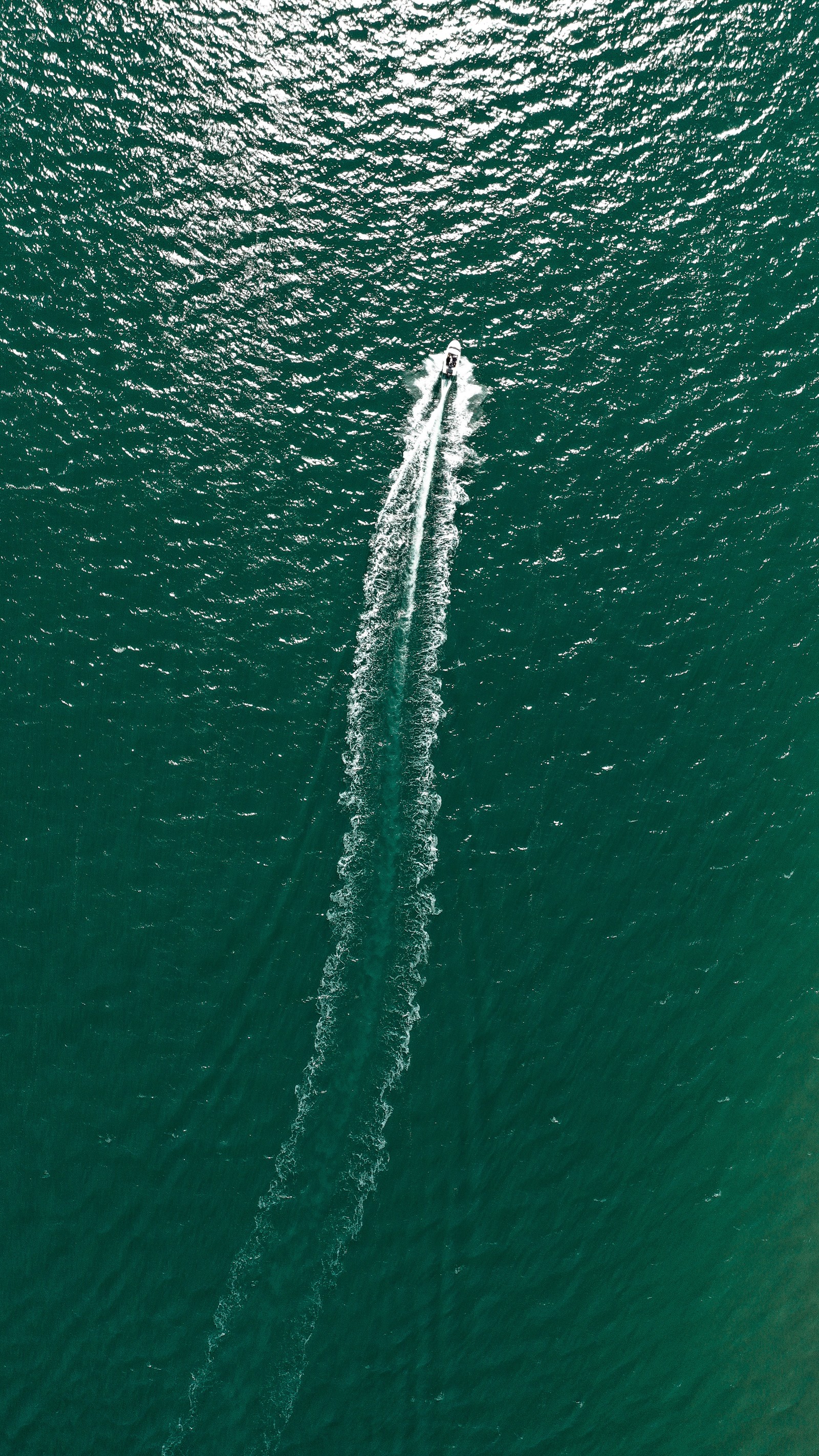 Araffe in the water with a boat in the middle of the water (water, green, water resources, sea, wave)