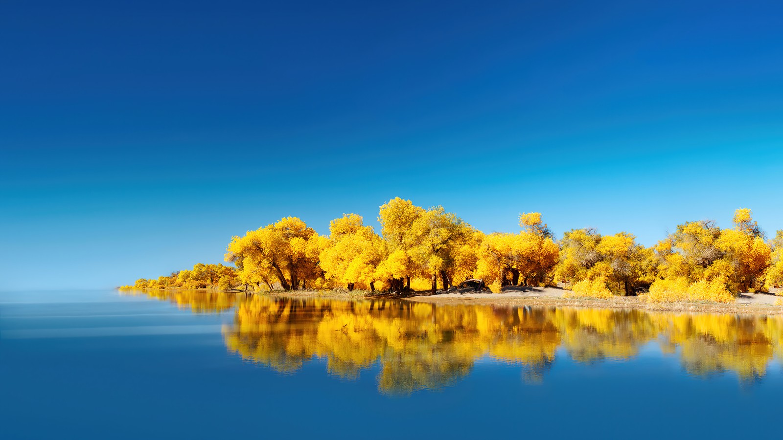 Eine aussicht auf einen see mit bäumen im hintergrund und blauem himmel (see, gelb, baum, landschaft, huawei mate)