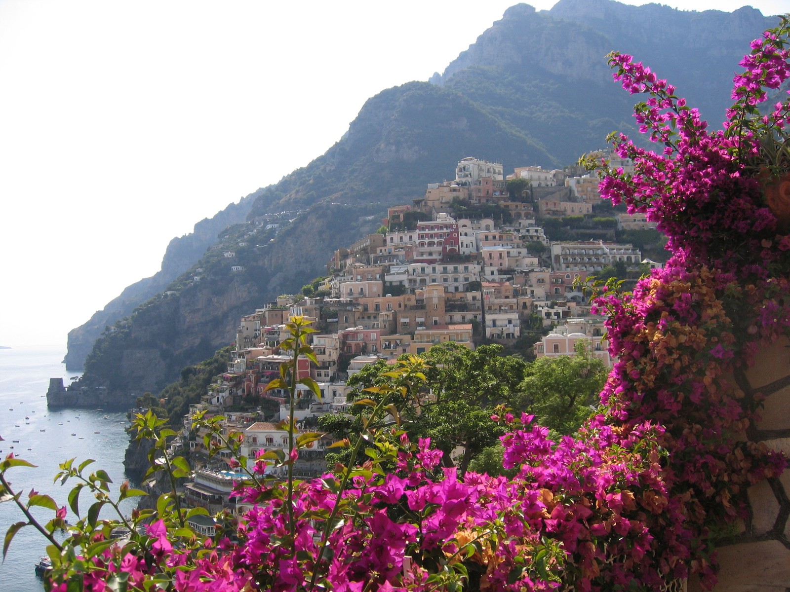 Flores roxas em um vaso na frente de uma montanha e uma cidade (positano, estância, flor, turismo, cidade)