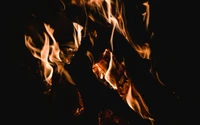 flame, heat, fire, bonfire, combustion wallpaper