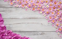 Blossoming Pink Petals on Wooden Surface