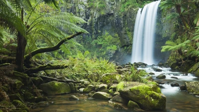 Hopetoun Falls: A Majestic Waterfall Surrounded by Lush Rainforest and Vibrant Ecosystem.