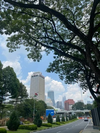 Paisagem urbana de Kuala Lumpur: blocos de torres e ruas arborizadas