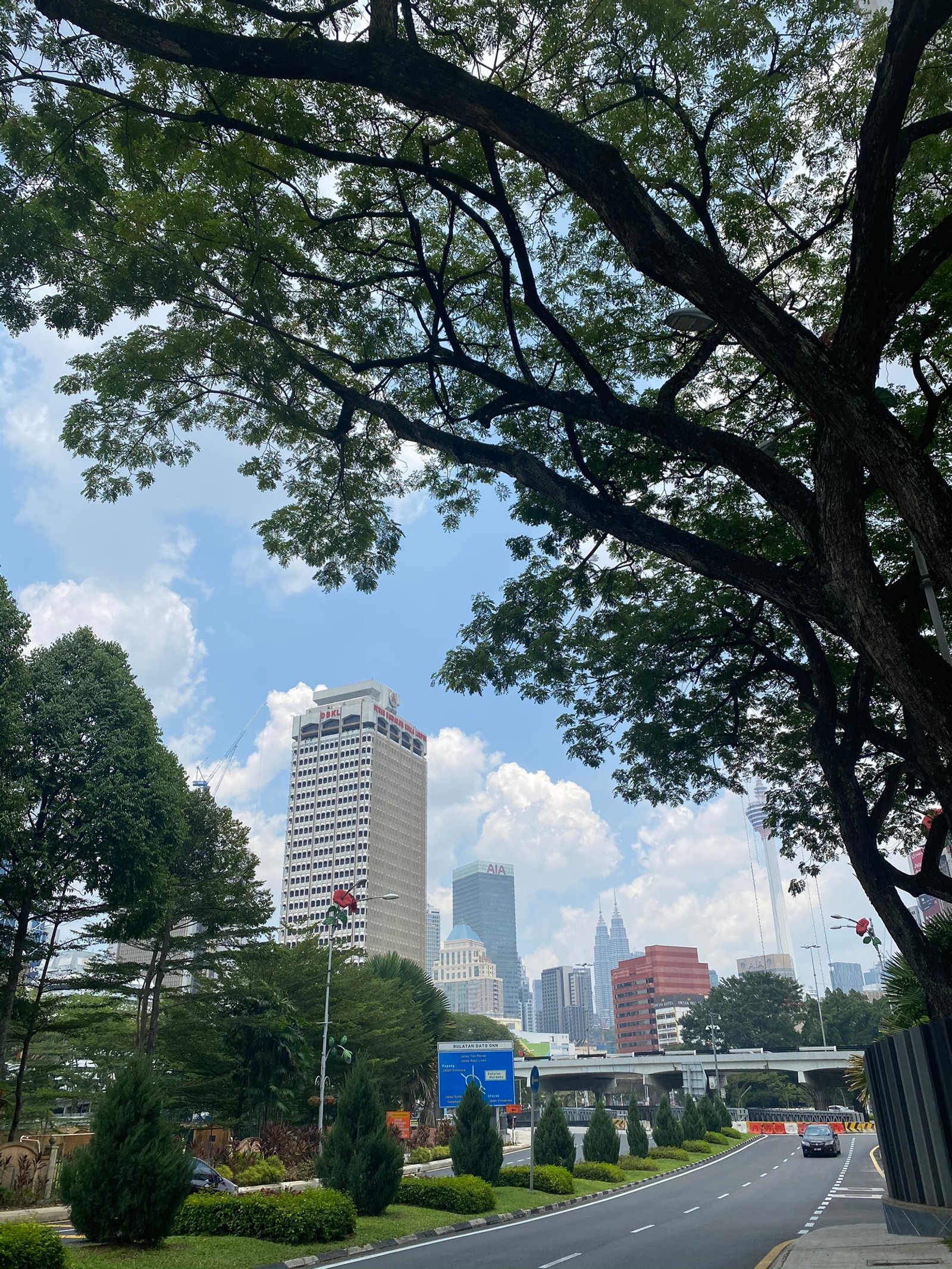 There is a tree that is next to a street with cars (kuala lumpur, road, daytime, neighbourhood, tower block)