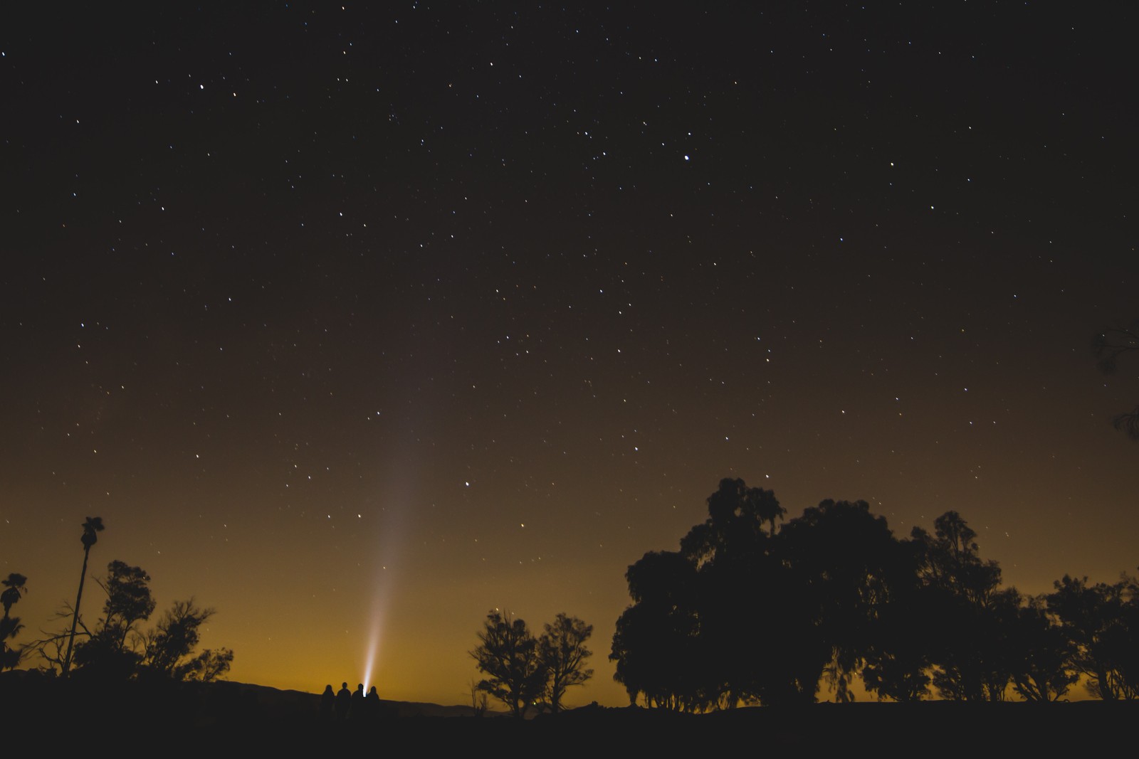 A view of a bright light shining over a forest at night (nature, night, tree, atmosphere, star)