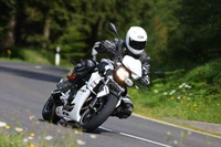 Rider in full gear skillfully maneuvering a BMW motorcycle on a winding road surrounded by greenery.