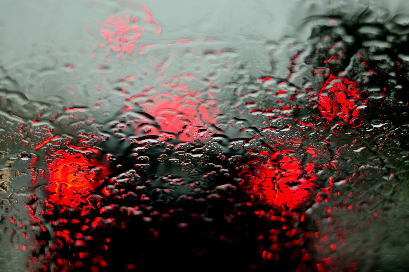 Gros plan du pare-brise d'une voiture avec de la pluie dessus (humidité, bruine, liquide, plante, eau)