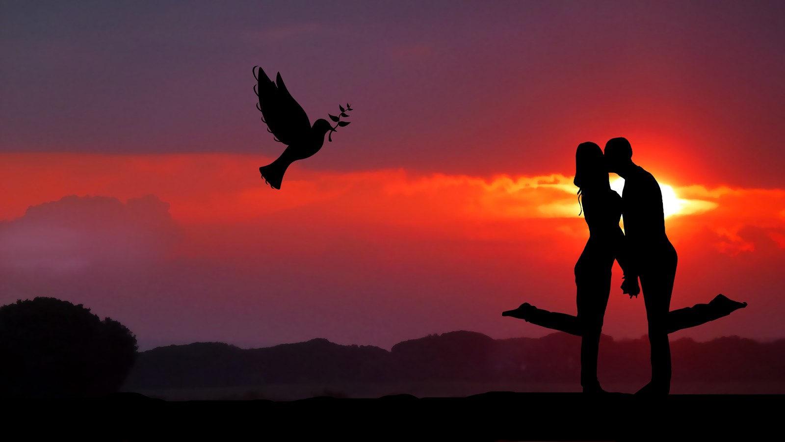 Silhouette d'un couple s'embrassant devant un oiseau volant dans le ciel (couple, lever de soleil, ensemble, romantique, colombe)