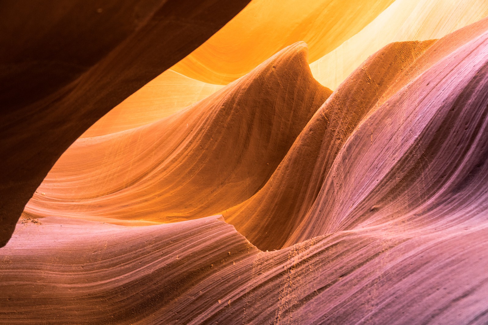 A close up of a rock formation with a very colorful light (beauty, antelope canyon, canyon, orange, formation)