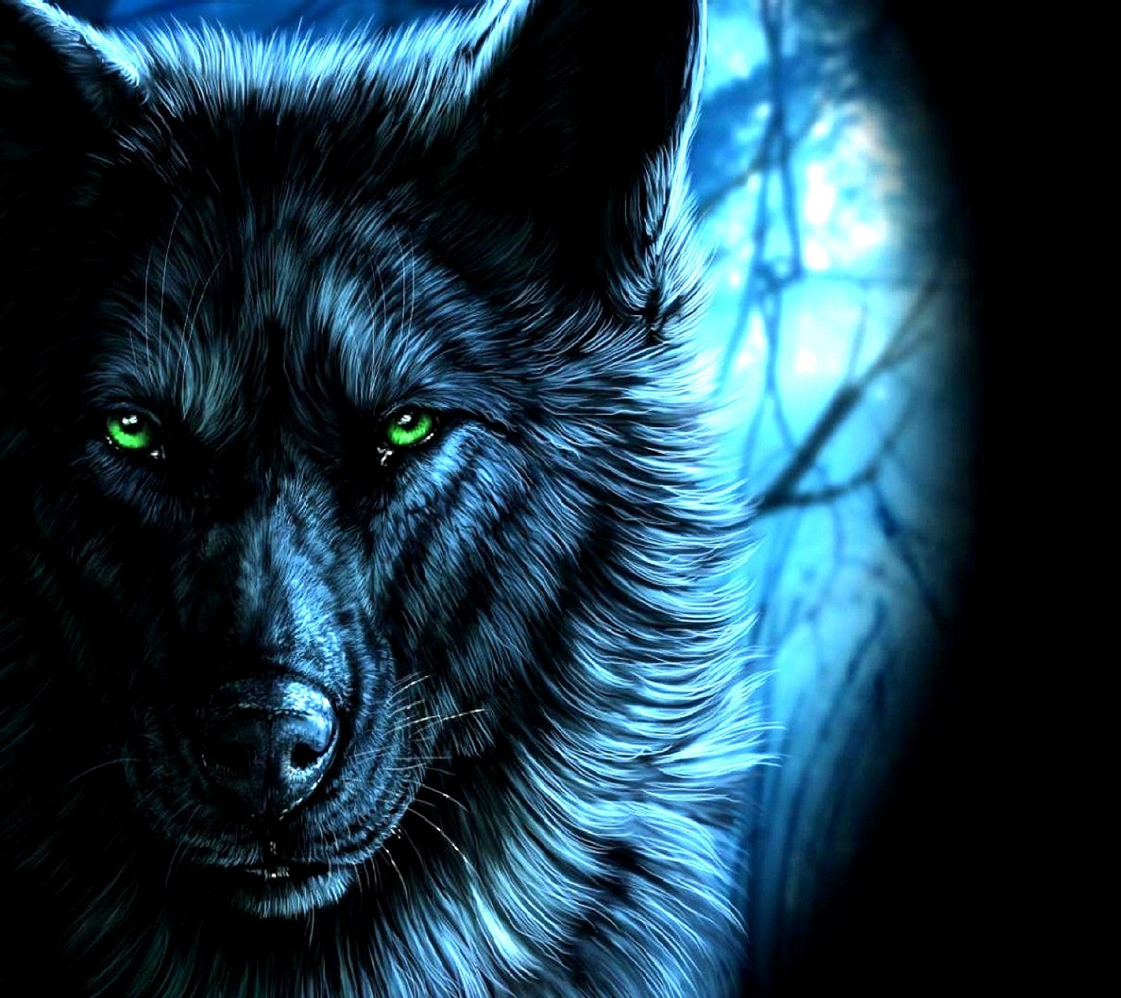 wolf wallpaper