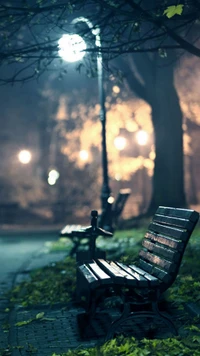 Serene Night in the Park: Illuminated Benches Amidst Nature