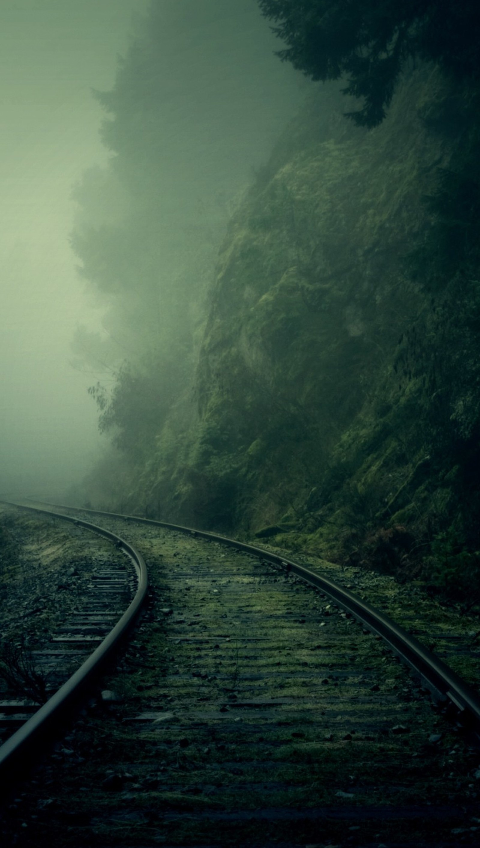 Hay una vía de tren que atraviesa el bosque brumoso (genial, oscuro, niebla, verde, train rail)