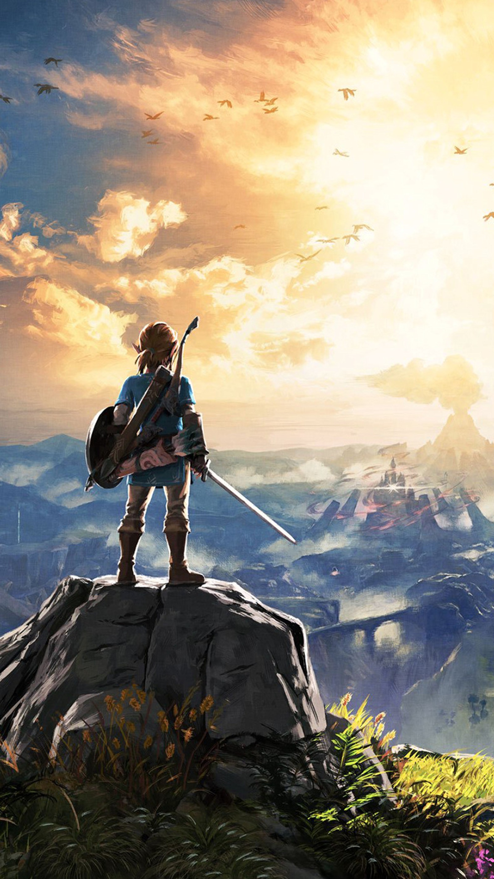 Arafed image of a man standing on a rock with a sword (breath of the wild, nintendo, switch, wii u, zelda)