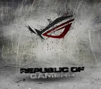 asus, jugadores, logotipo, república