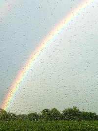 hermoso, azul, colorido, naturaleza, lluvia