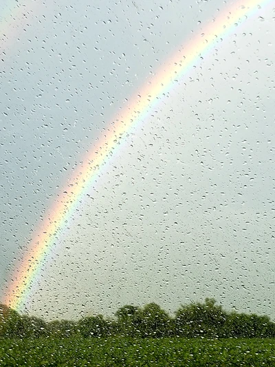 beautiful, blue, colorful, nature, rain