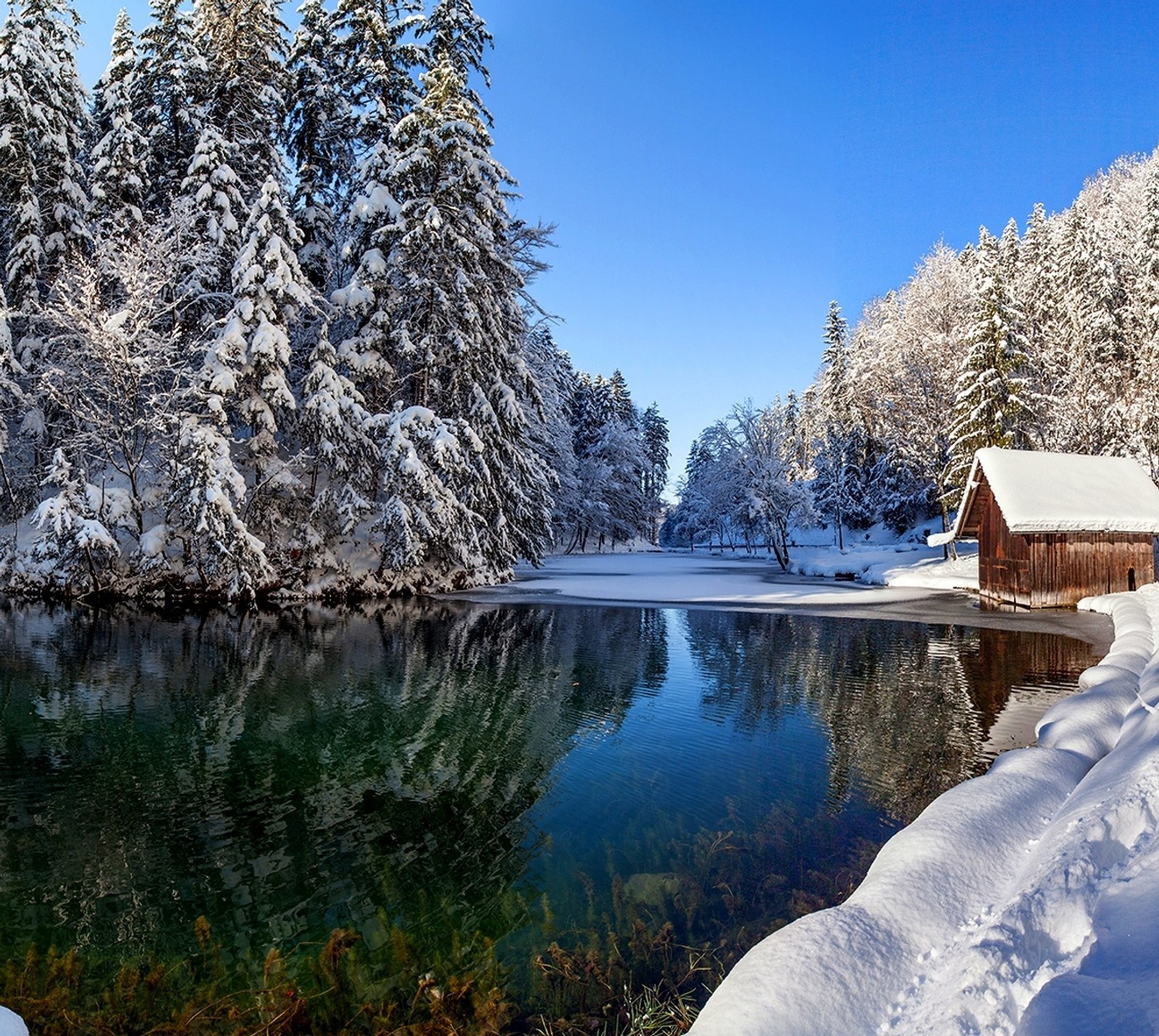 Scène enneigée d'un chalet au bord d'un lac avec une forêt enneigée (cottage, forêt, lac, bord de lac, neige)