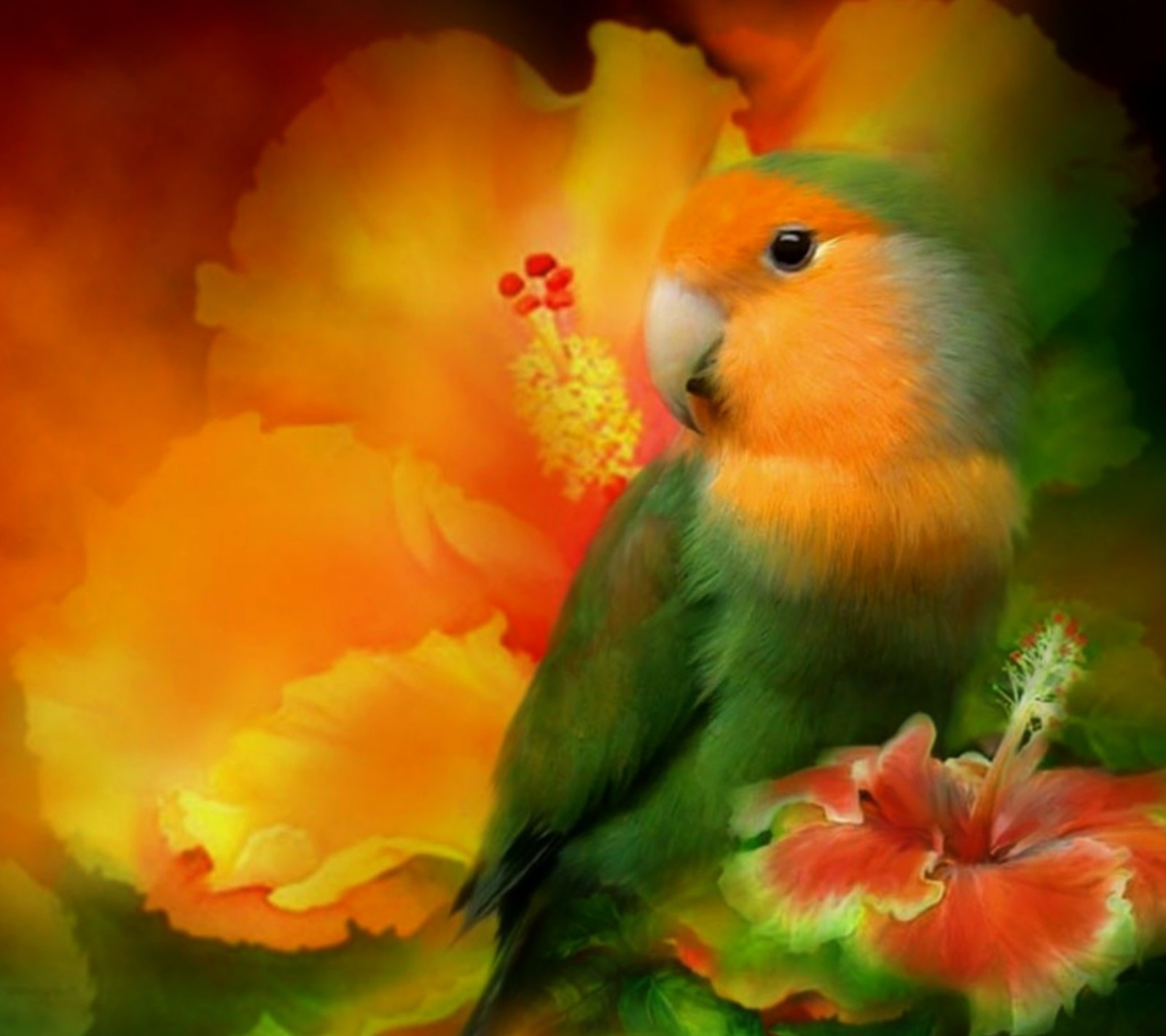 bird, flower, nature, parrot Download Wallpaper