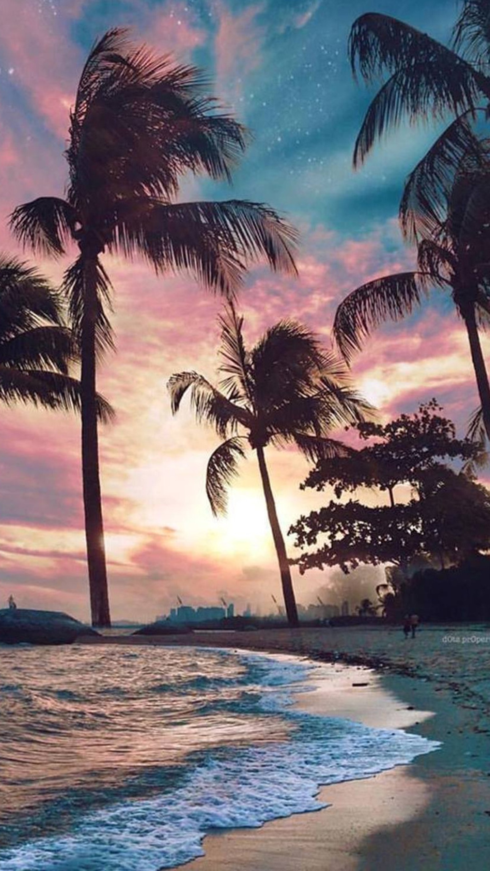 Palmeras en la playa al atardecer con un cielo rosa (playa, atardecer)