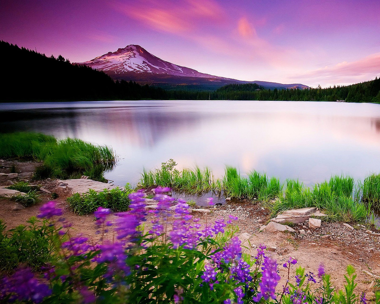 background, calm, green, lake, mountain Download Wallpaper