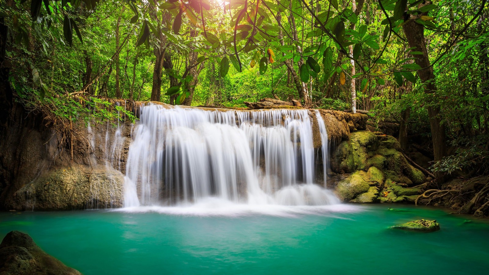 A waterfall in the jungle with green water and trees (waterfall, water resources, body of water, natural landscape, nature)