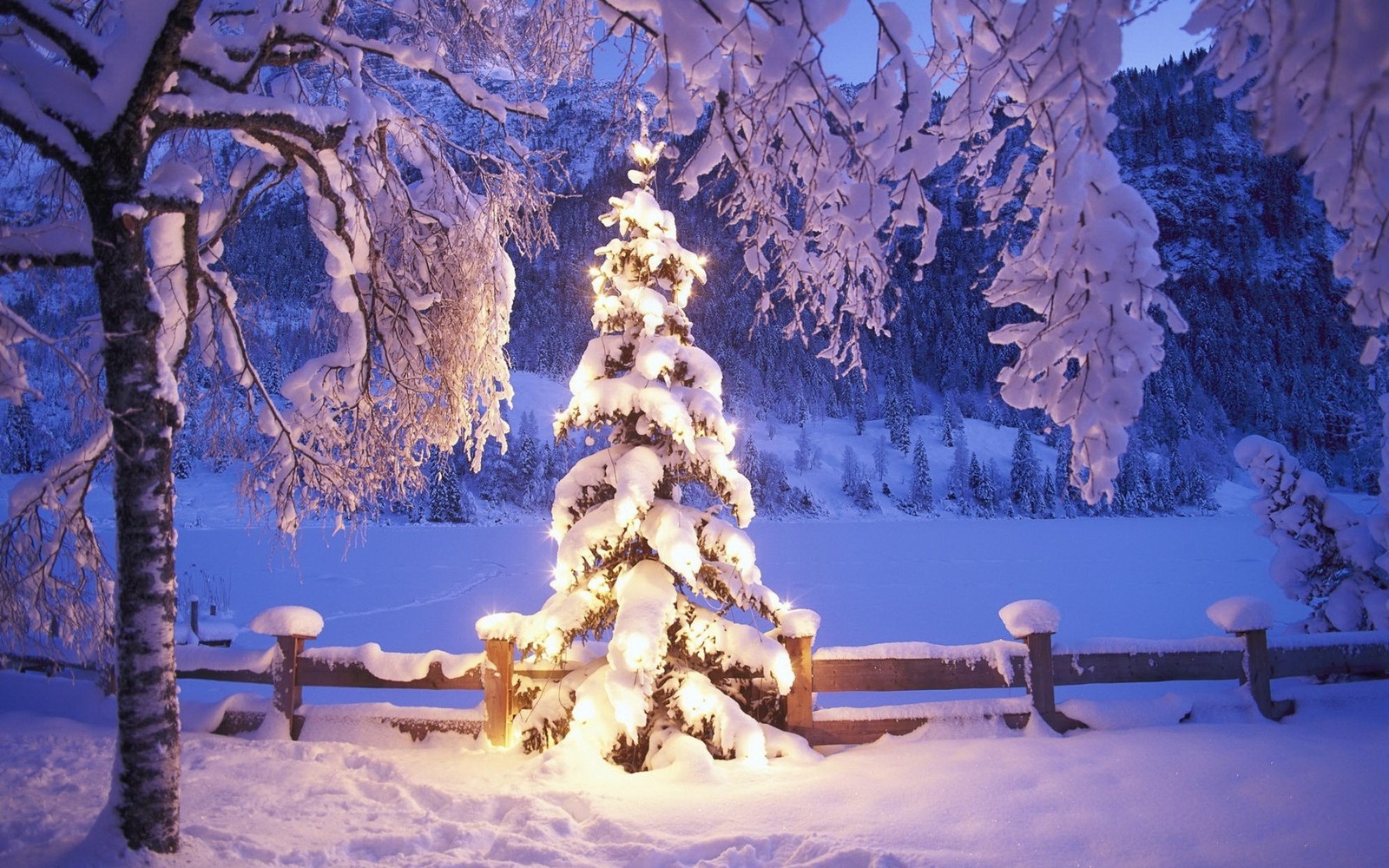 Descargar fondo de pantalla día de navidad, árbol de navidad, nieve, invierno, árbol