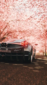 Pagani Huayra Under Blossoming Cherry Trees