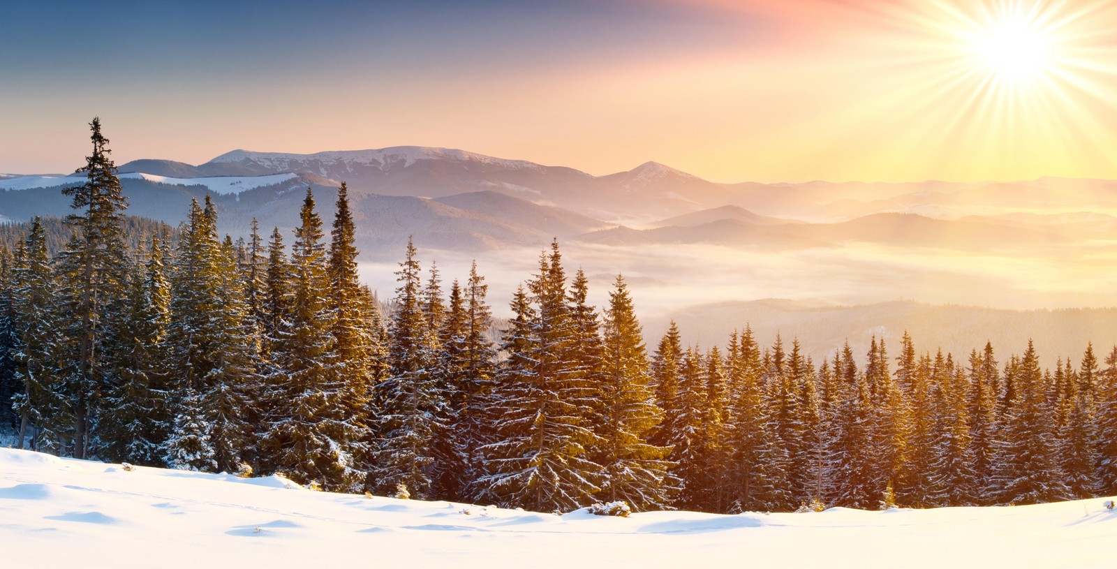 Descargar fondo de pantalla nieve, invierno, árbol, montaña, formas montañosas